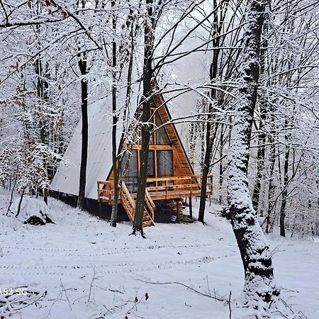 Cabanaaframe Curtea De Arges Exterior photo