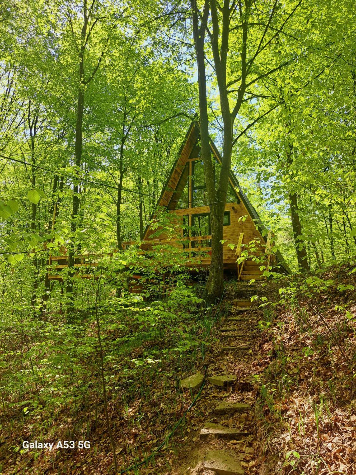 Cabanaaframe Curtea De Arges Exterior photo