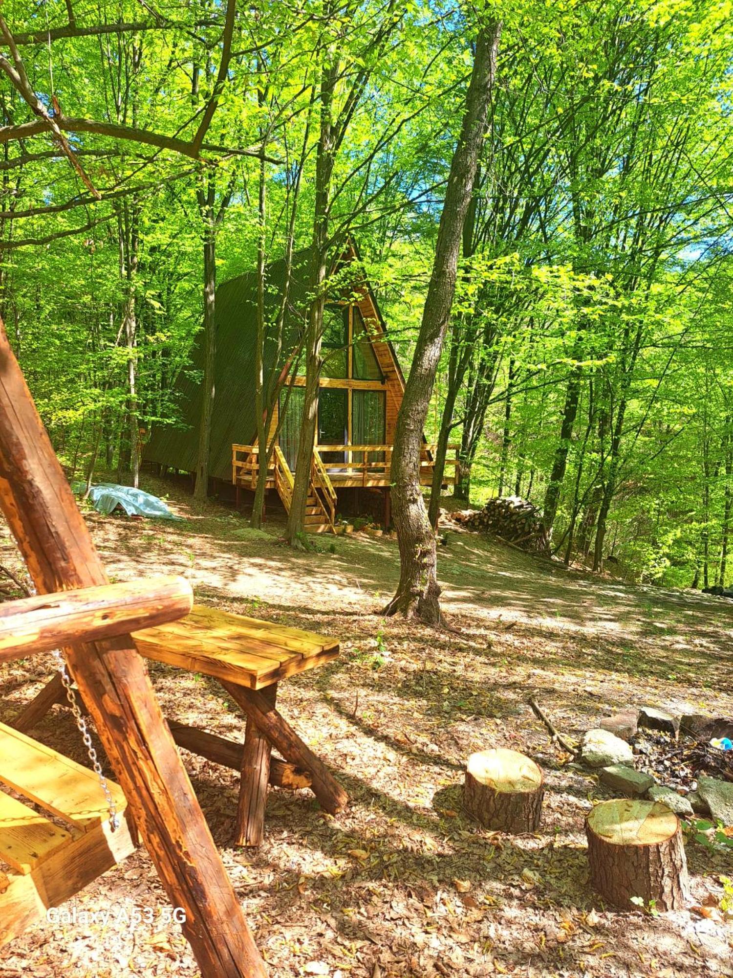 Cabanaaframe Curtea De Arges Exterior photo