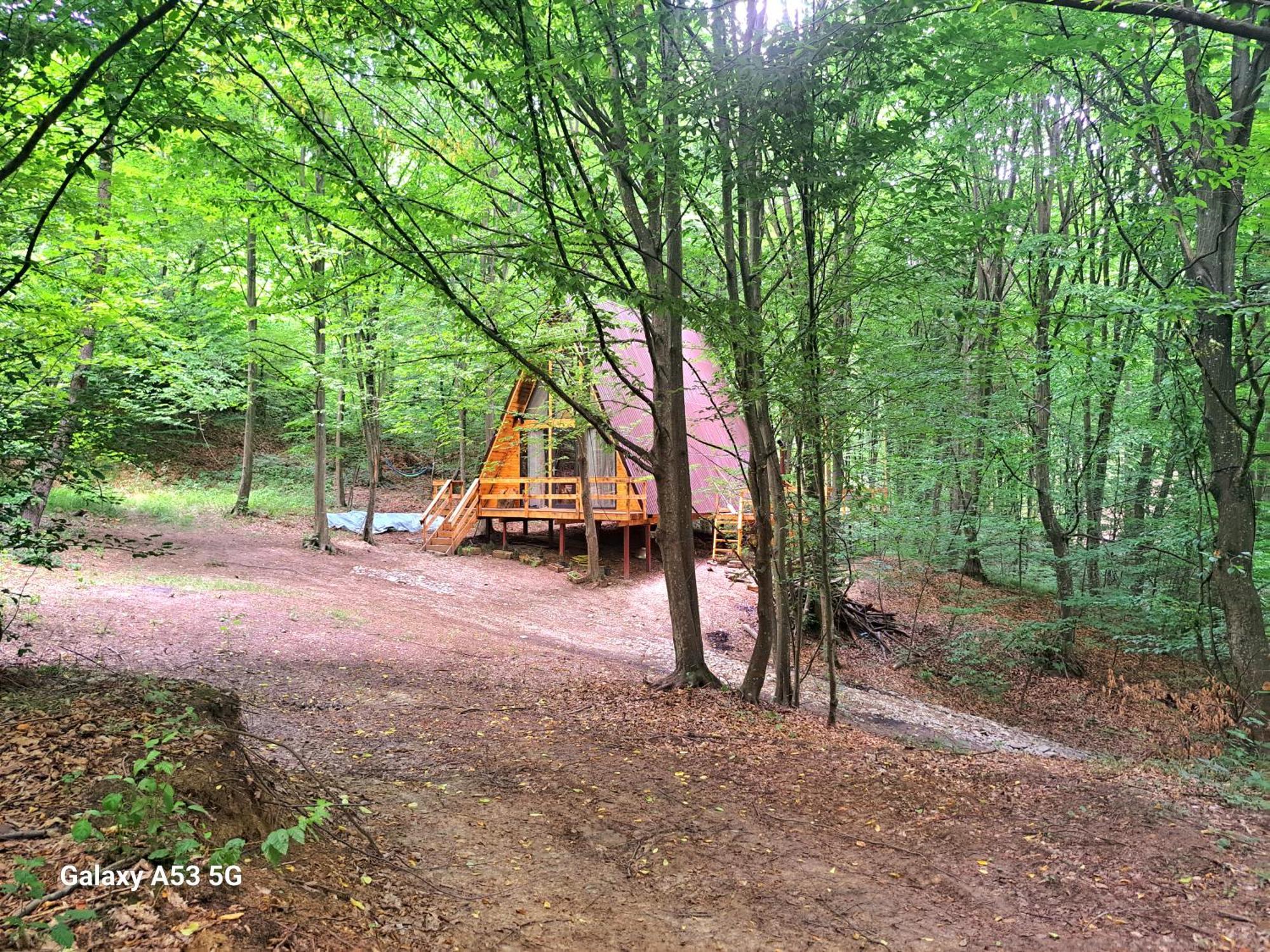 Cabanaaframe Curtea De Arges Exterior photo
